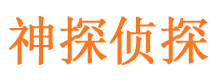 东风市侦探公司